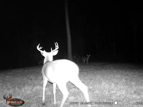 1 N Will Floyd Rd, Crosby, MS 39633 photo 22