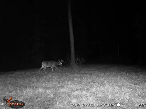 1 N Will Floyd Rd, Crosby, MS 39633 photo 20