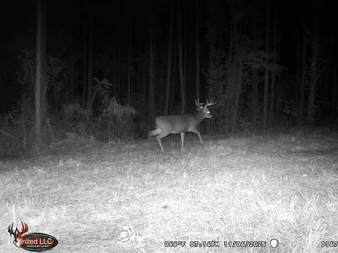 1 N Will Floyd Rd, Crosby, MS 39633 photo 21