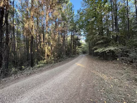 1 N Will Floyd Rd, Crosby, MS 39633 photo 17