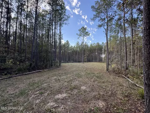 1 N Will Floyd Rd, Crosby, MS 39633 photo 16