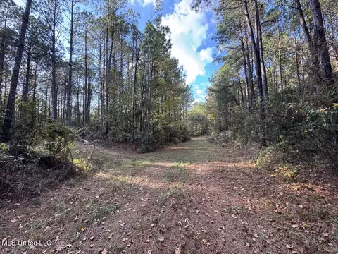 1 N Will Floyd Rd, Crosby, MS 39633 photo 12