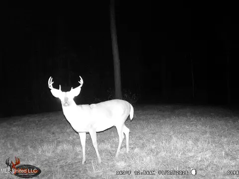 1 N Will Floyd Rd, Crosby, MS 39633 photo 23