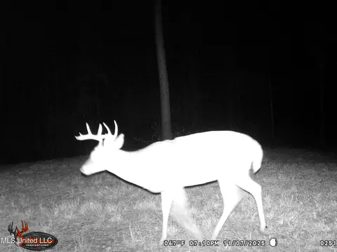 1 N Will Floyd Rd, Crosby, MS 39633 photo 25