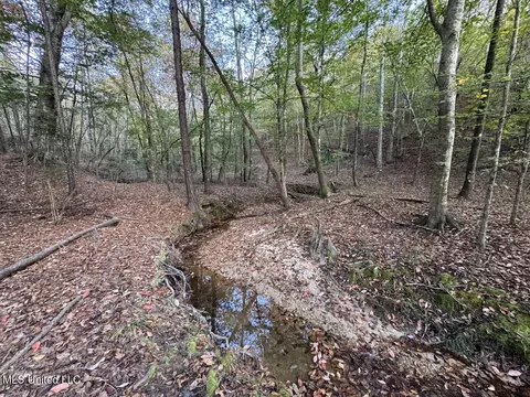 1 N Will Floyd Rd, Crosby, MS 39633 photo 14