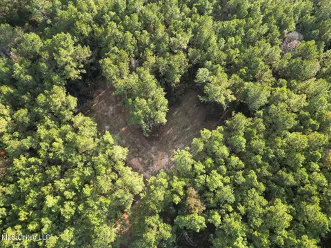 1 N Will Floyd Rd, Crosby, MS 39633 photo 2