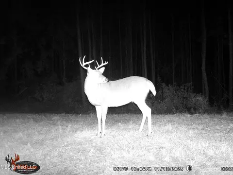 1 N Will Floyd Rd, Crosby, MS 39633 photo 27
