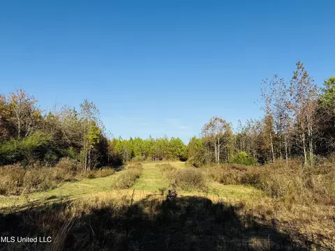 Attala County Road 4210, Sallis, MS 39160