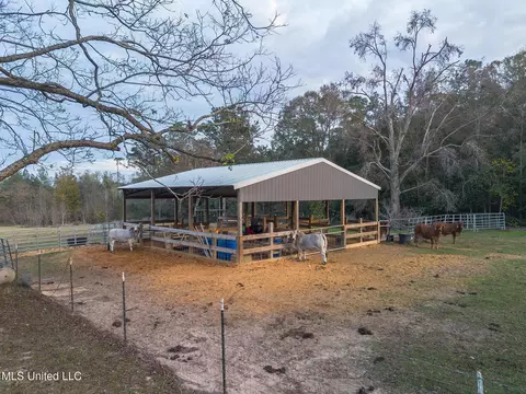 Exterior - 19090 Mack Pete Rd, Saucier, MS 39574 photo 4 of 5