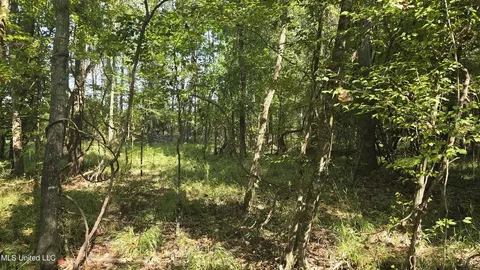 00 Nelson Corner Rd, Roxie, MS 39661 photo 24