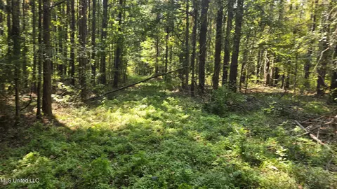 00 Nelson Corner Rd, Roxie, MS 39661 photo 32