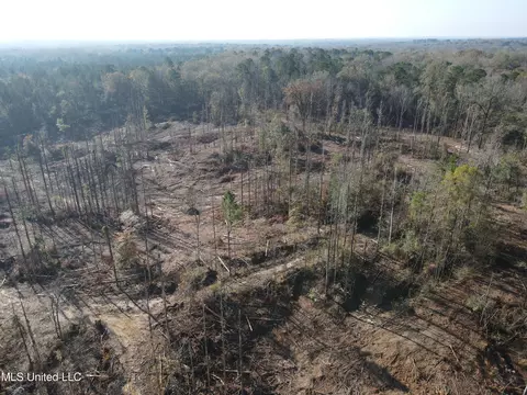 00 Nelson Corner Rd, Roxie, MS 39661 photo 47