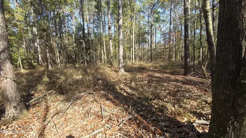 00 Nelson Corner Rd, Roxie, MS 39661 photo 42