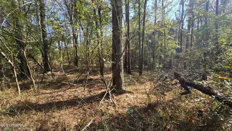 00 Nelson Corner Rd, Roxie, MS 39661 photo 44