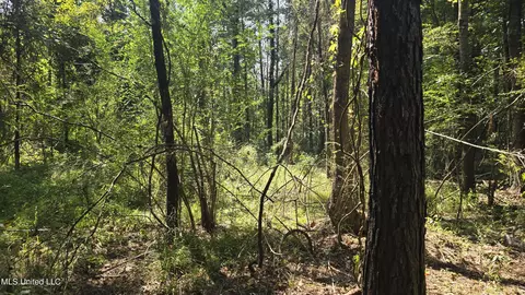 00 Nelson Corner Rd, Roxie, MS 39661 photo 28