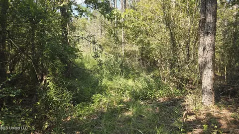 00 Nelson Corner Rd, Roxie, MS 39661 photo 27