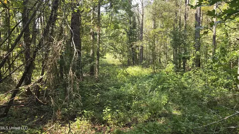 00 Nelson Corner Rd, Roxie, MS 39661 photo 30