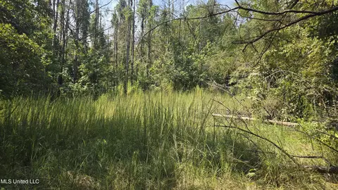 00 Nelson Corner Rd, Roxie, MS 39661 photo 31