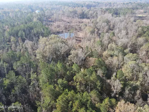 00 Nelson Corner Rd, Roxie, MS 39661 photo 48