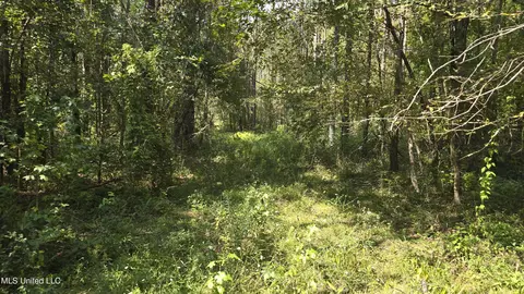 00 Nelson Corner Rd, Roxie, MS 39661 photo 29
