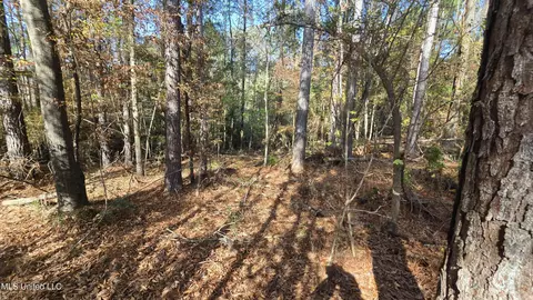 00 Nelson Corner Rd, Roxie, MS 39661 photo 35