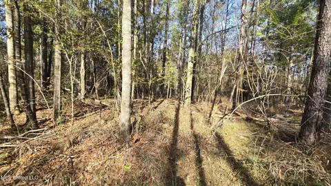 00 Nelson Corner Rd, Roxie, MS 39661 photo 43