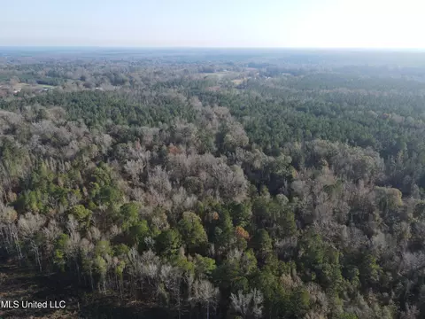 00 Nelson Corner Rd, Roxie, MS 39661