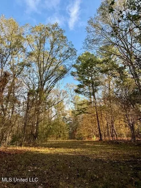 Perrytown Road, Crosby, MS 39633 photo 22