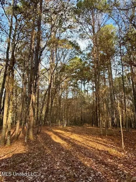 Perrytown Road, Crosby, MS 39633 photo 15