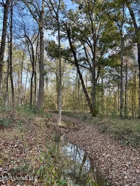 Perrytown Road, Crosby, MS 39633 photo 5
