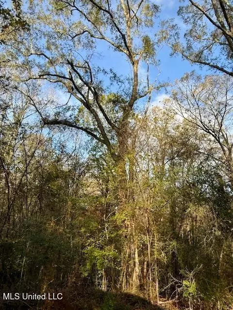 Perrytown Road, Crosby, MS 39633 photo 21