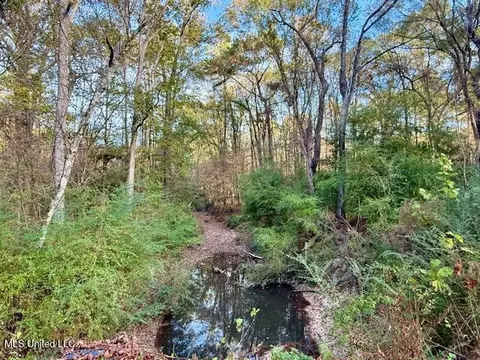 Perrytown Road, Crosby, MS 39633 photo 24