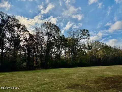 Perrytown Road, Crosby, MS 39633 photo 10