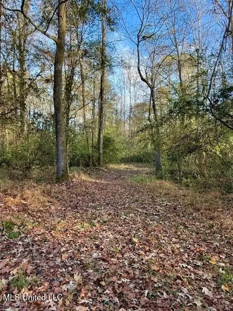 Perrytown Road, Crosby, MS 39633 photo 13