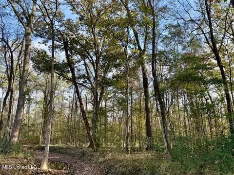 Perrytown Road, Crosby, MS 39633 photo 6