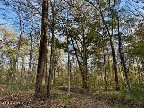 Perrytown Road, Crosby, MS 39633 photo 8