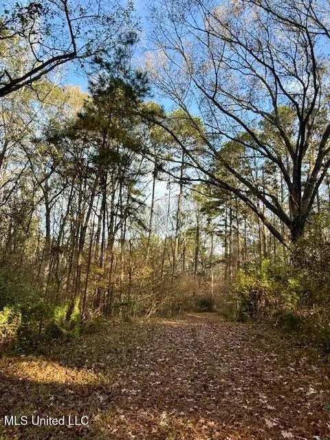 Perrytown Road, Crosby, MS 39633 photo 17