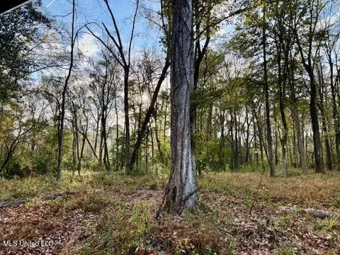 Perrytown Road, Crosby, MS 39633 photo 9