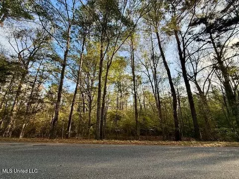 Perrytown Road, Crosby, MS 39633 photo 27