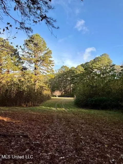 Perrytown Road, Crosby, MS 39633 photo 19