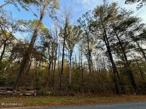 Perrytown Road, Crosby, MS 39633 photo 25