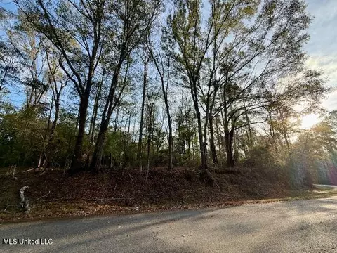 Perrytown Road, Crosby, MS 39633 photo 26