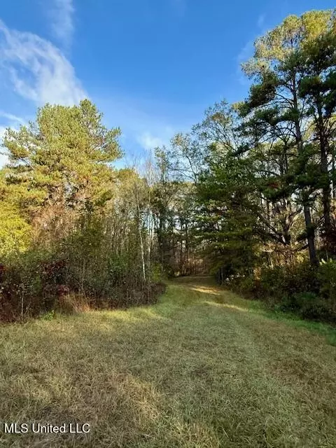 Perrytown Road, Crosby, MS 39633 photo 18