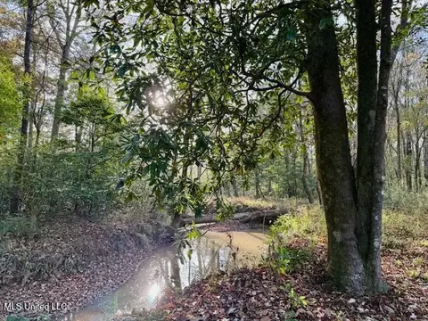 Perrytown Road, Crosby, MS 39633 photo 7
