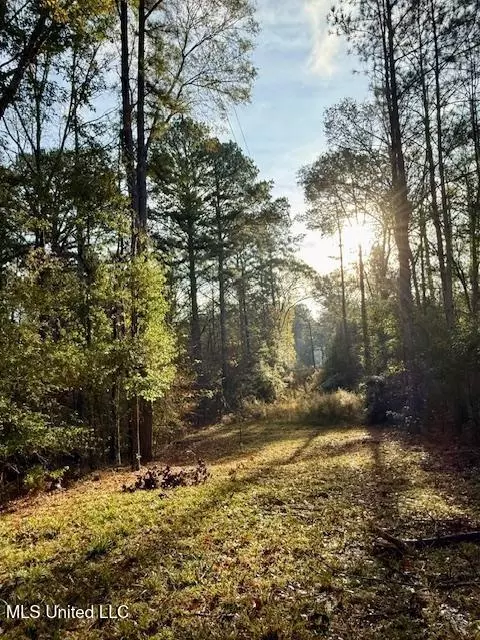 Perrytown Road, Crosby, MS 39633 photo 23