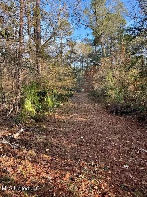 Perrytown Road, Crosby, MS 39633 photo 20