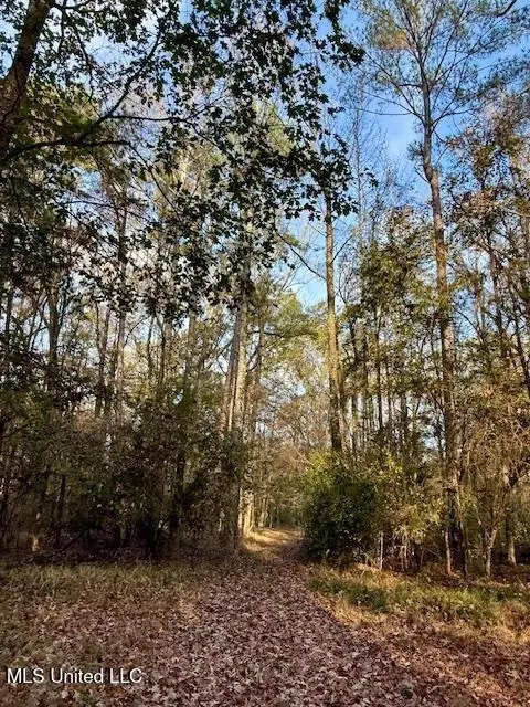 Perrytown Road, Crosby, MS 39633 photo 14