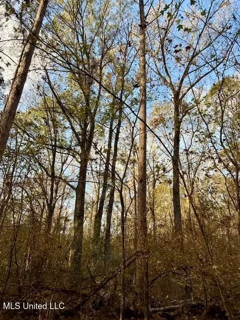 Perrytown Road, Crosby, MS 39633 photo 16