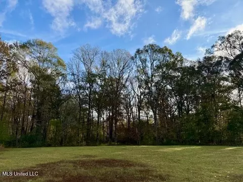 Perrytown Road, Crosby, MS 39633 photo 11