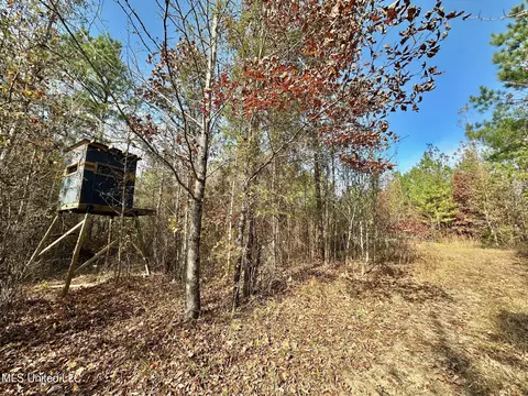 3 County Road 3122, Mccool, MS 39108